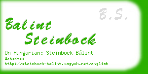 balint steinbock business card